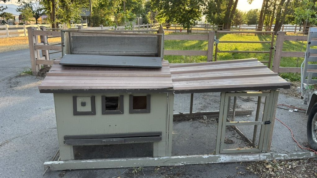 Chicken Coop