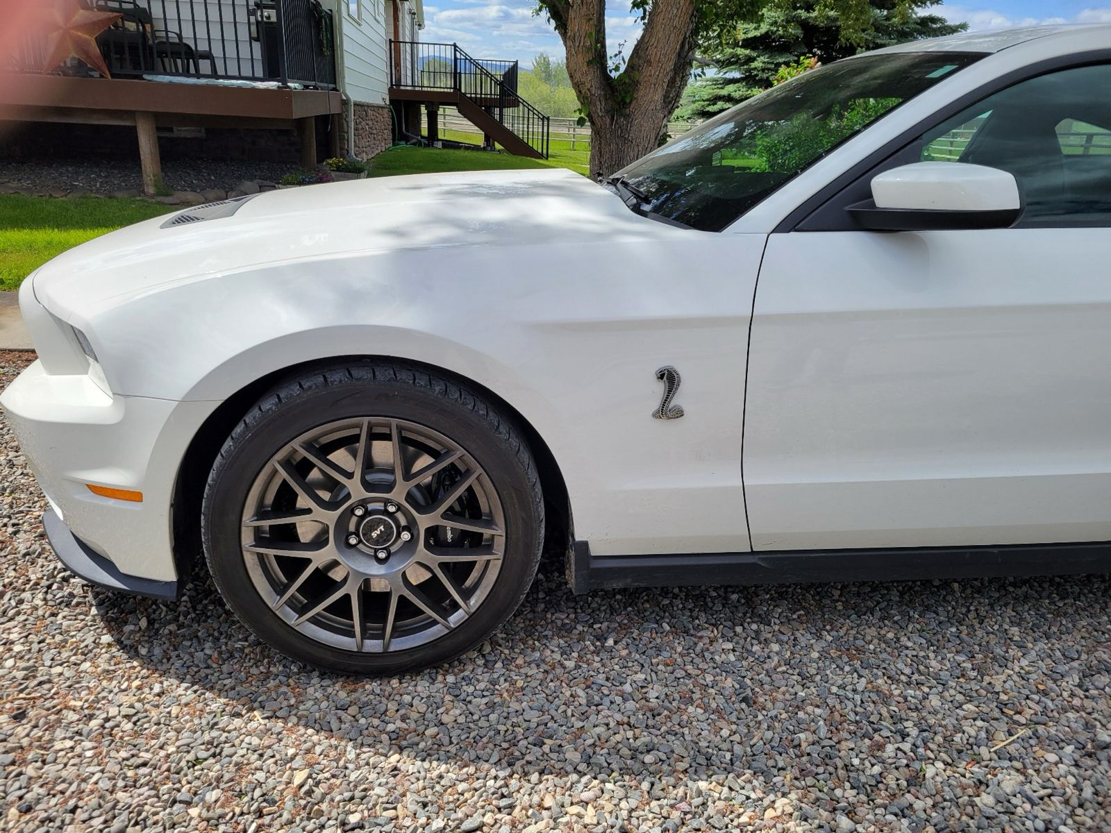 2012 Ford Shelby GT500 Base