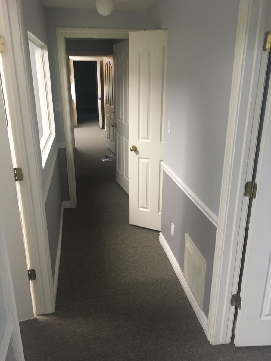 Main image 8
