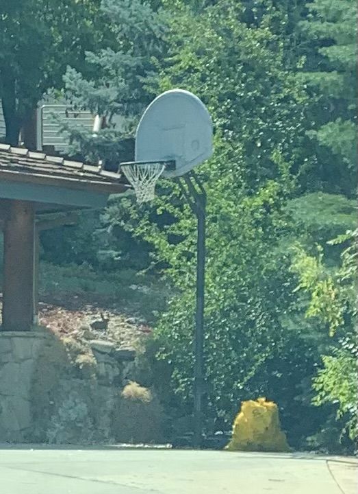 Free  basketball  hoop