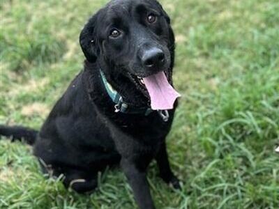 Hello my name is Kevin