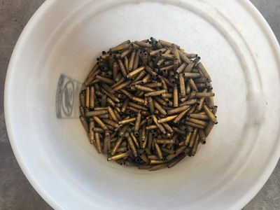 Brass Bullet Casings for Reloading 223 caliber