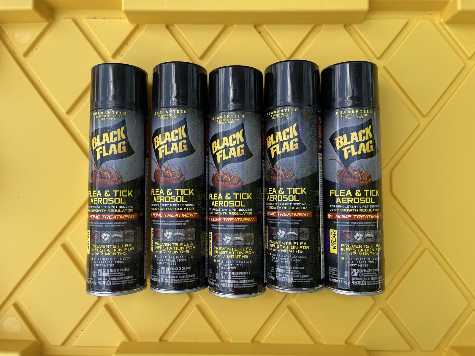 Black Flag Flea & Tick Aerosol -$1 Each