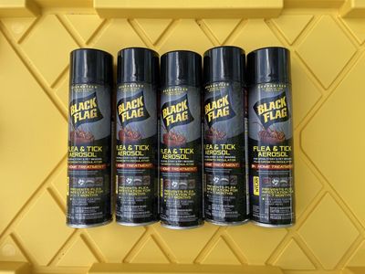 Black Flag Flea & Tick Aerosol -$1 Each