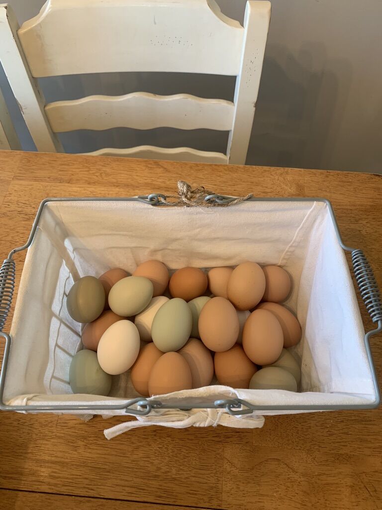 Farm Fresh Eggs