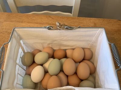 Farm Fresh Eggs
