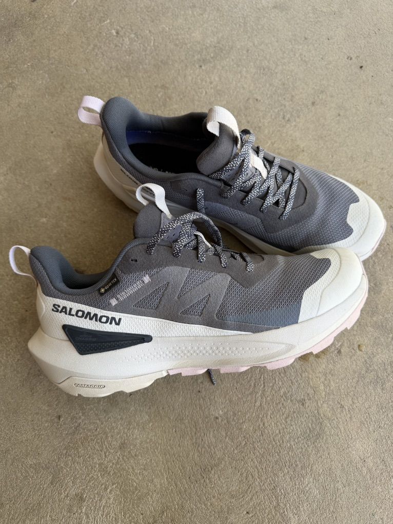 Salomon Hiking Shoes