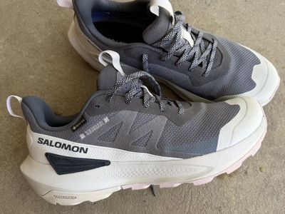 Salomon Hiking Shoes