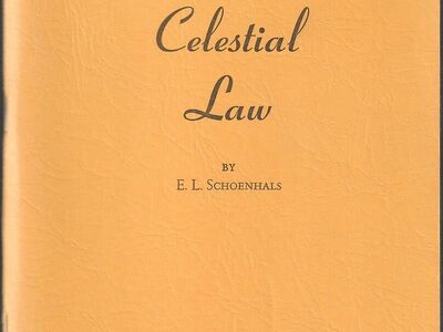 Celestial Law by Schoenhals, E. L.