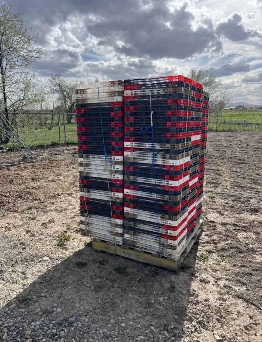 Storage crates