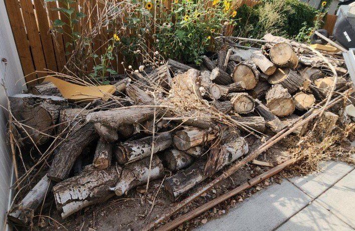 Firewood Logs and Yard Wood Pile - Mixed Sizes