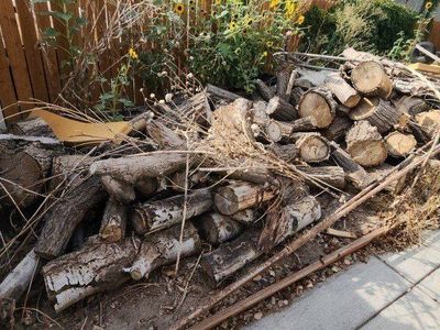 Firewood Logs and Yard Wood Pile - Mixed Sizes
