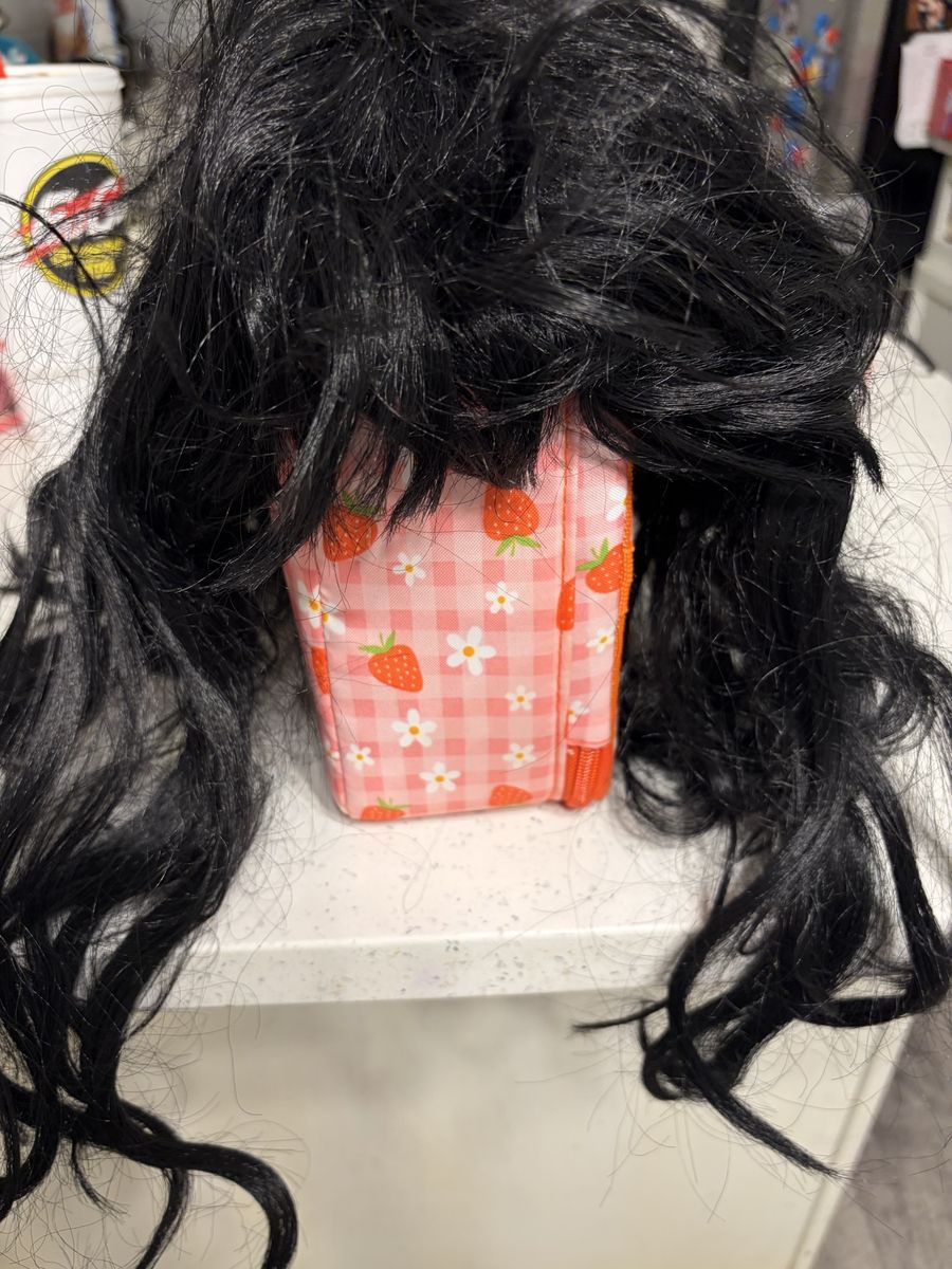 Black Costume Wig