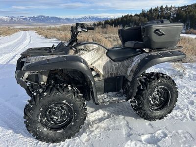 Grizzly 700 W/ Power Steering