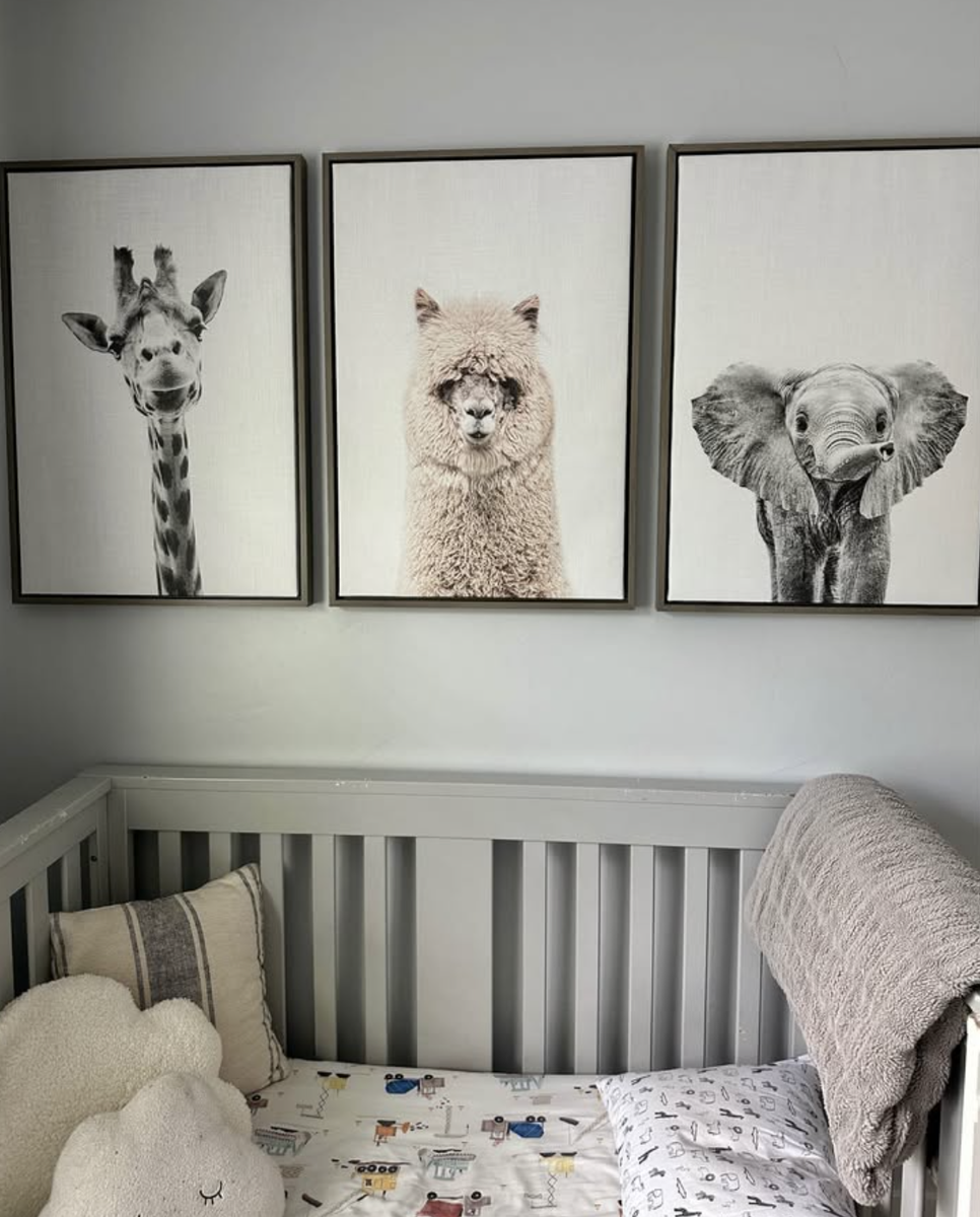 Animal prints