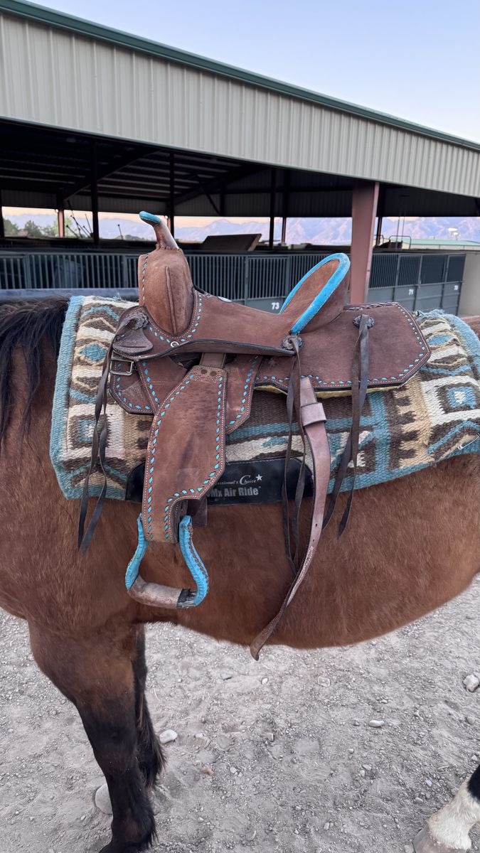 Double T Youth Kids Saddle Chocolate Roughout 12