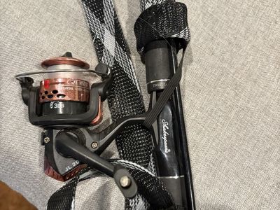 Two fishing rods