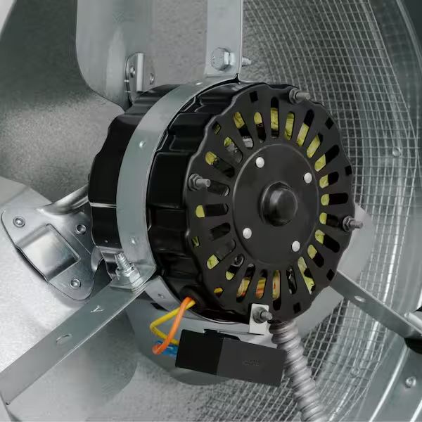 Main image 5
