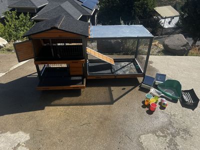 Two female bunnies with two story tier level wooden hutch with slide out shelves, food, bedding, and accessories. Loves kids!