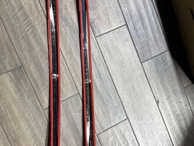 OEM Chrome Trim Ram 2009