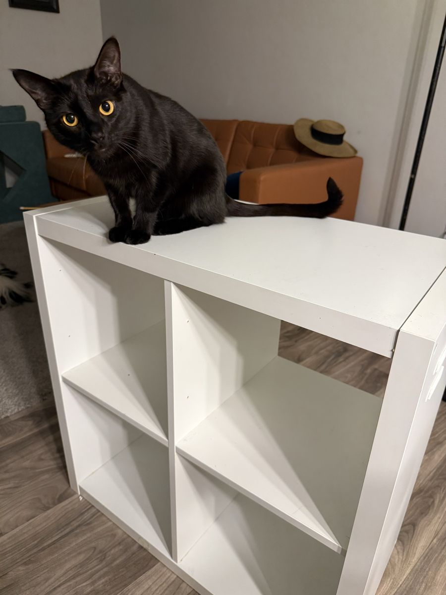 IKEA 2x2 Kallax