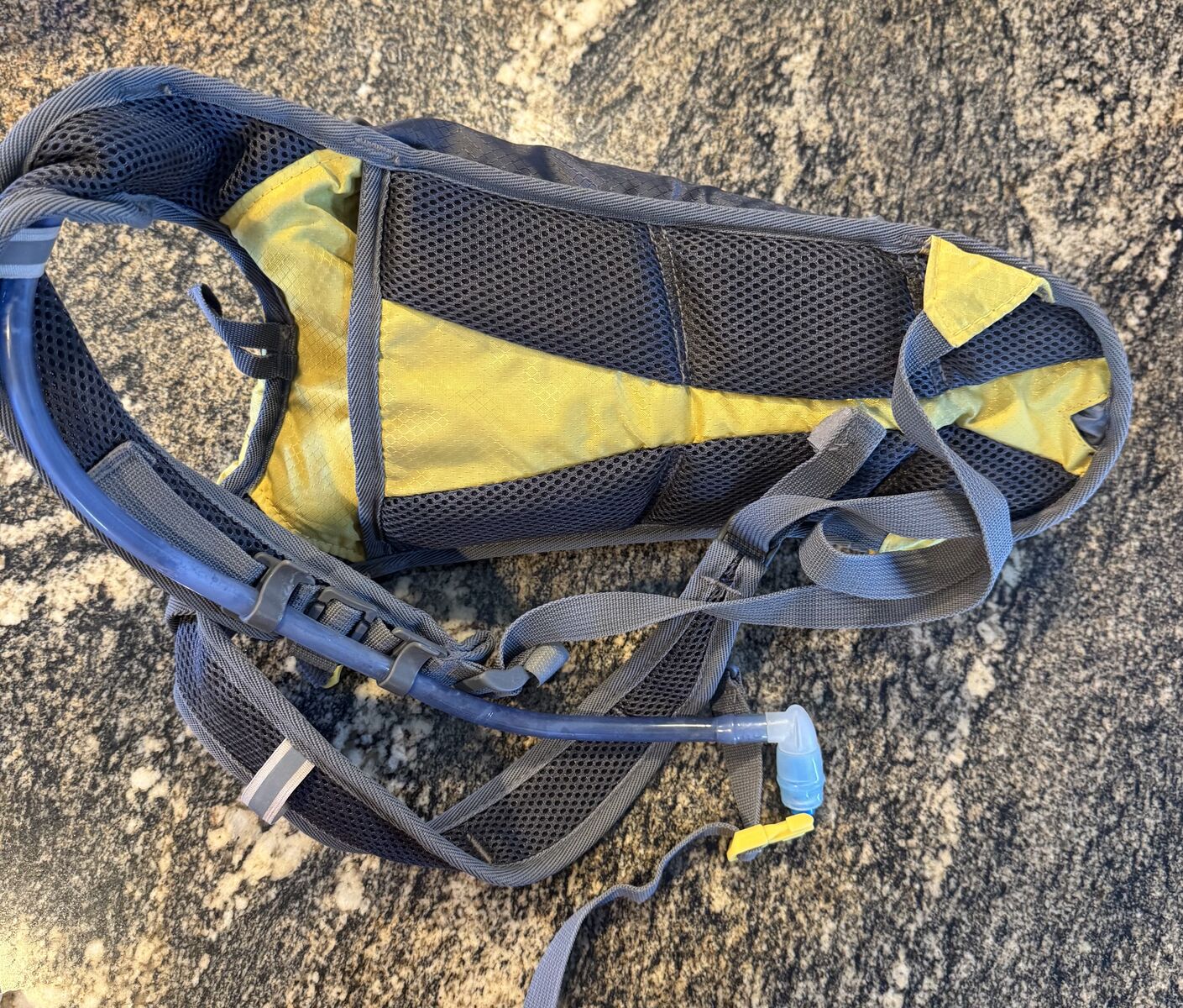 Gooseberry Hydration Pack