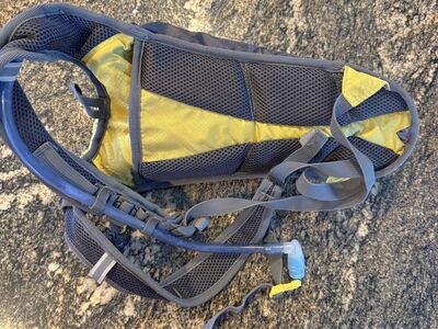 Gooseberry Hydration Pack