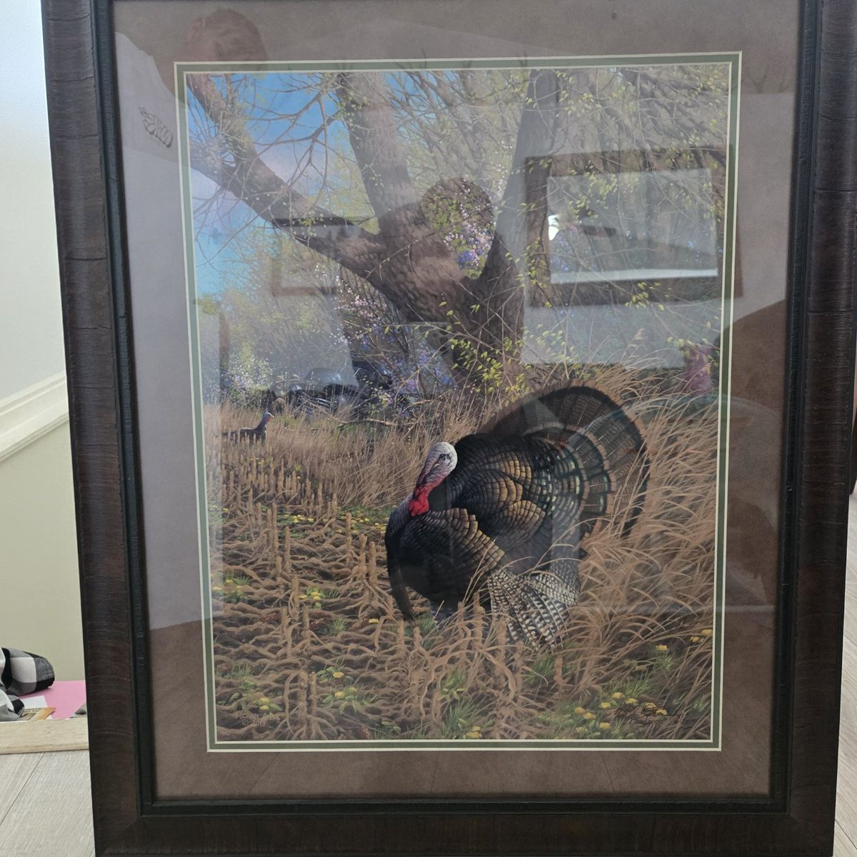 turkey picture
