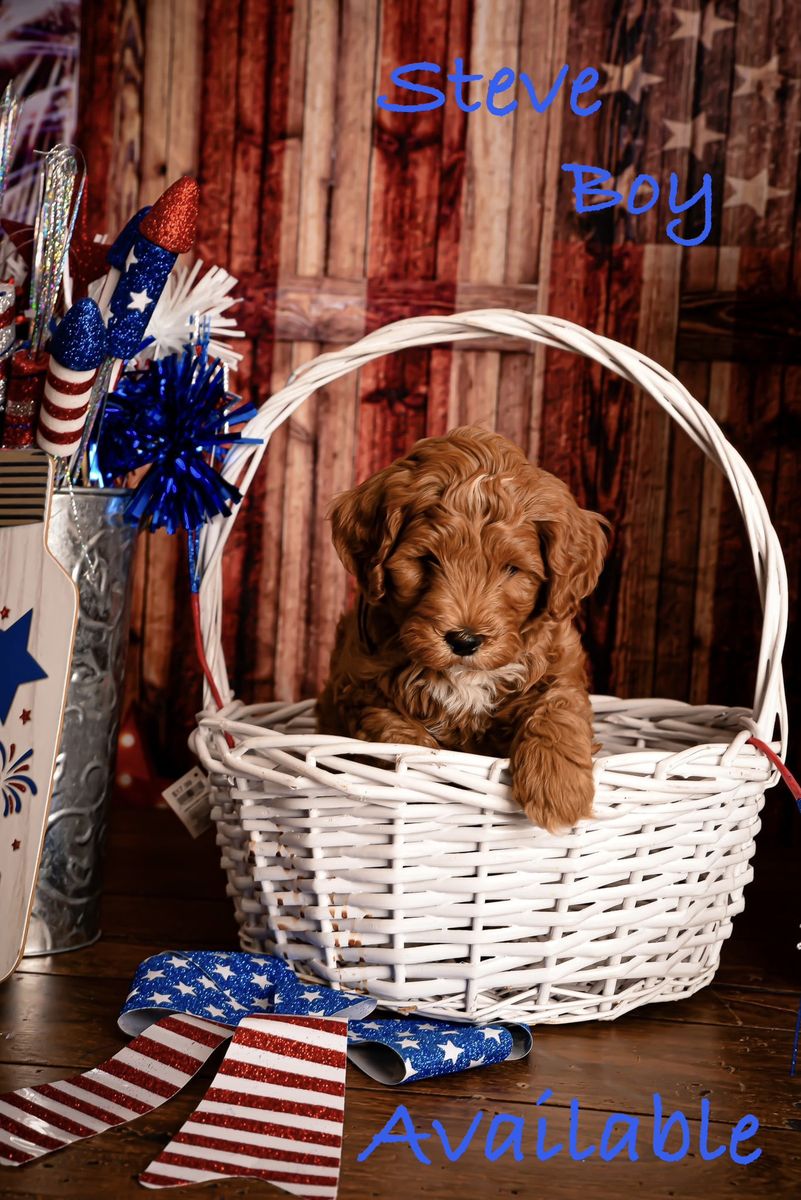 Main image 4