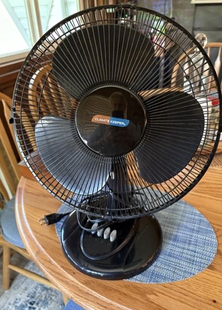 Electric Black Fan