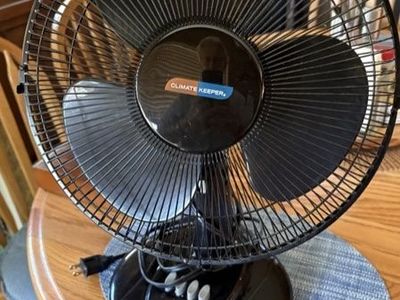 Electric Black Fan
