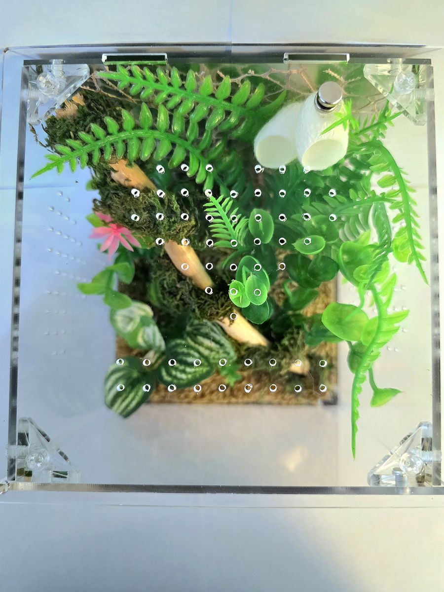 Main image 4