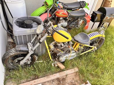 Vintage Harley Project