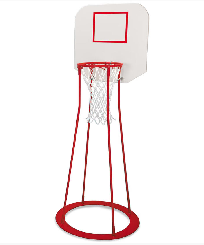 Lakeshore basketball hoop