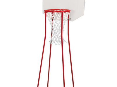 Lakeshore basketball hoop