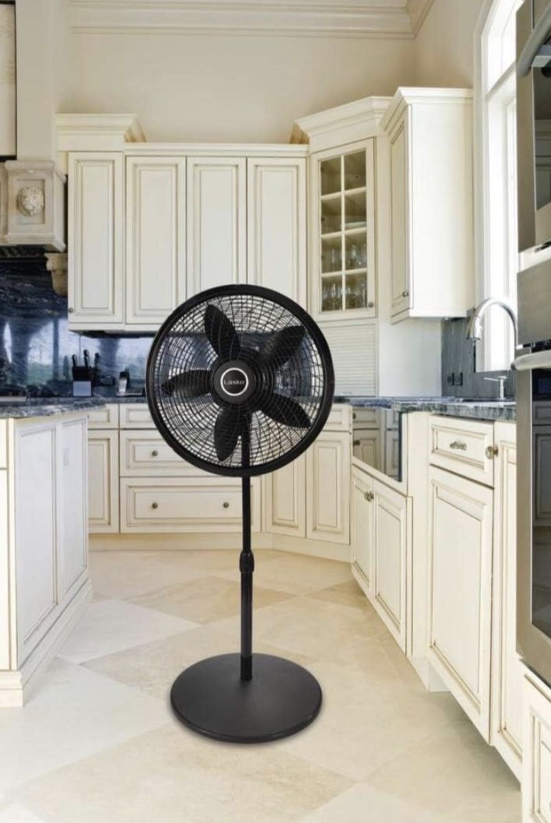 Lasko Cyclone 18 in. Adjustable Pedestal Fan
