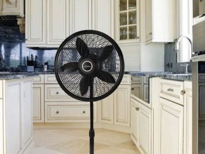 Lasko Cyclone 18 in. Adjustable Pedestal Fan