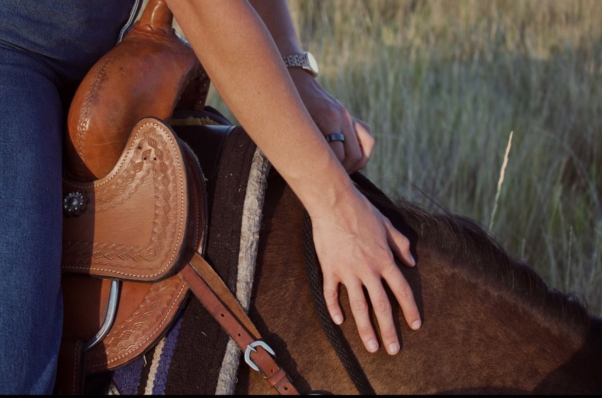Horseback riding lessons