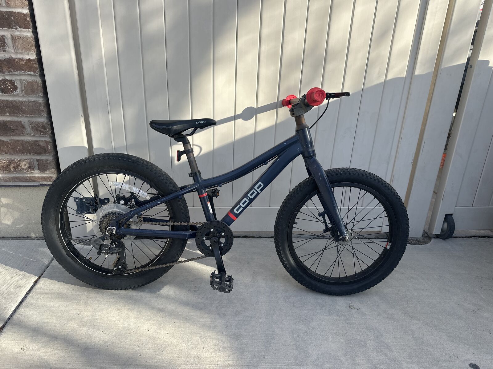 20 Kids Fat Tire Mountain Bike