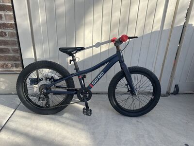 20 Kids Fat Tire Mountain Bike