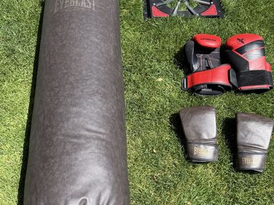 Heavy Punching Bag, gloves and Spider Mount