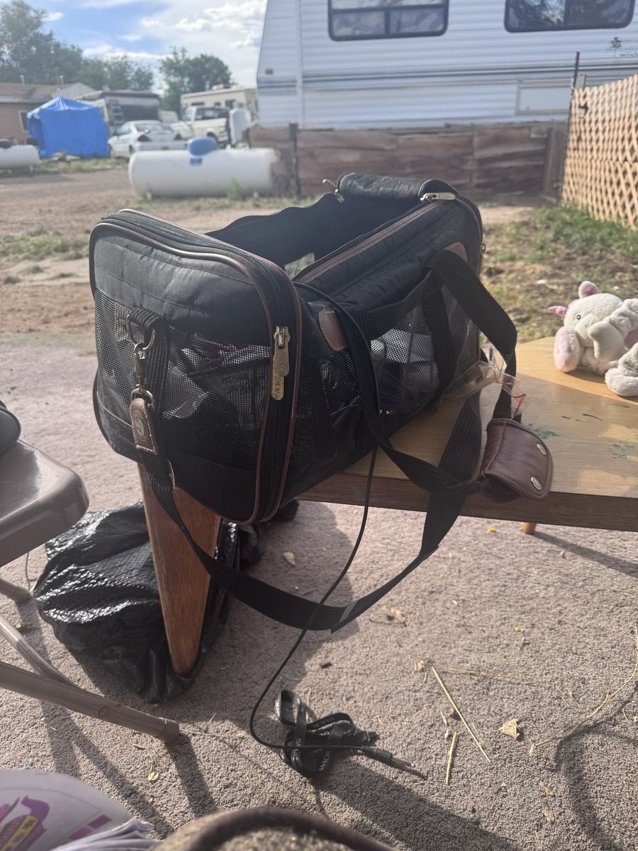 Cat carrier bag