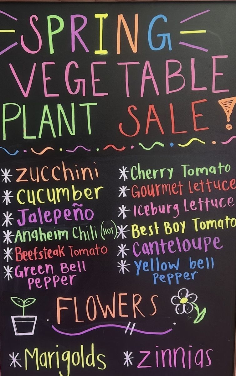 Spring Organic Plant Sale🪴