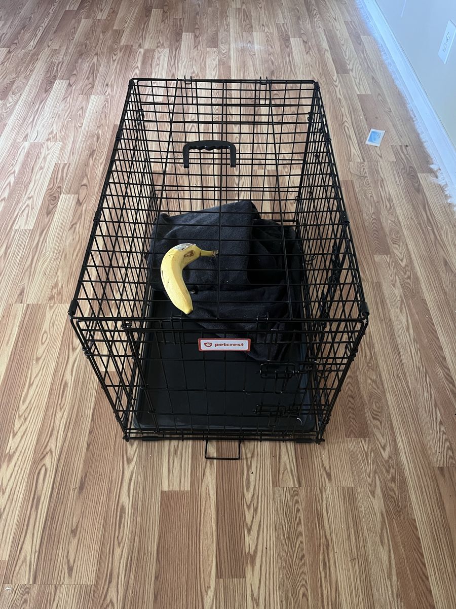 PetCrest Large Black Folding Dog Crate - Single Door, Used Good Condition