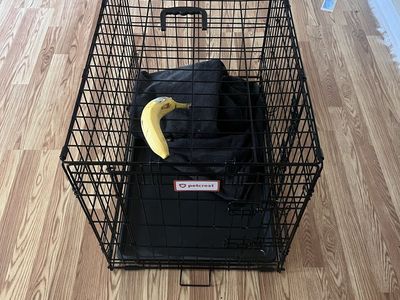 PetCrest Large Black Folding Dog Crate - Single Door, Used Good Condition
