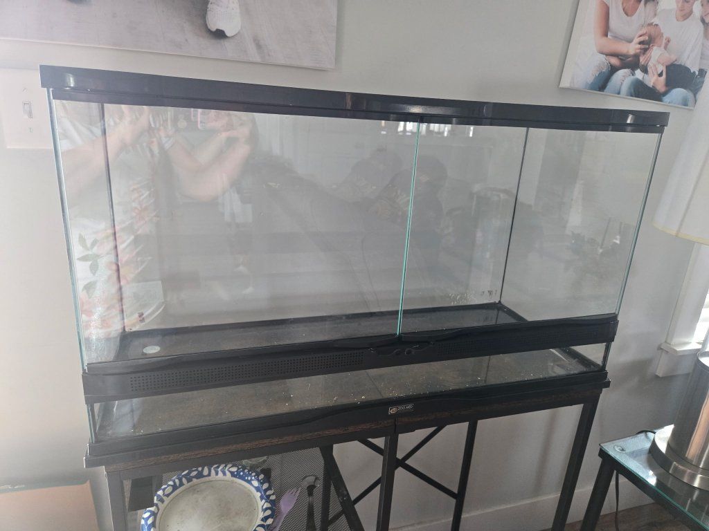 25 Gallon Used Reptile Tank Terrarium (No Brand Mentioned) - Glass, Screen Top