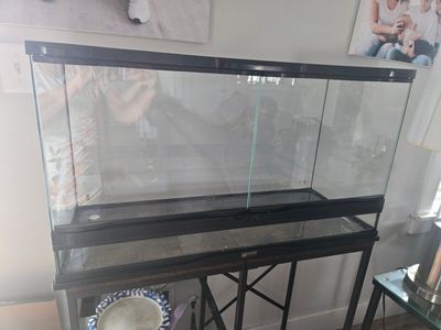 25 Gallon Used Reptile Tank Terrarium (No Brand Mentioned) - Glass, Screen Top