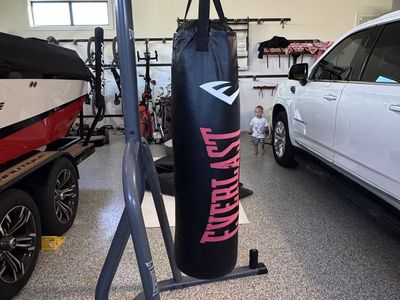 Everlast Punching Bag