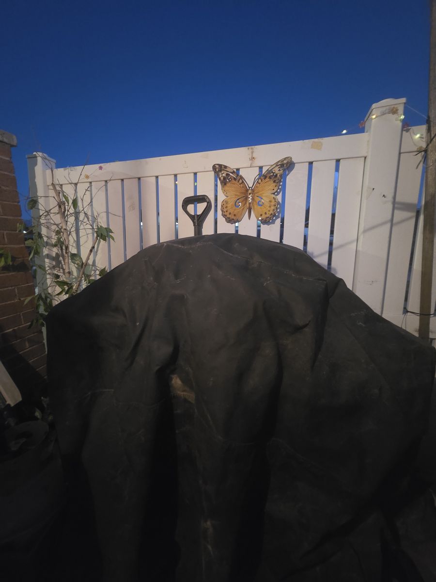 Main image 5