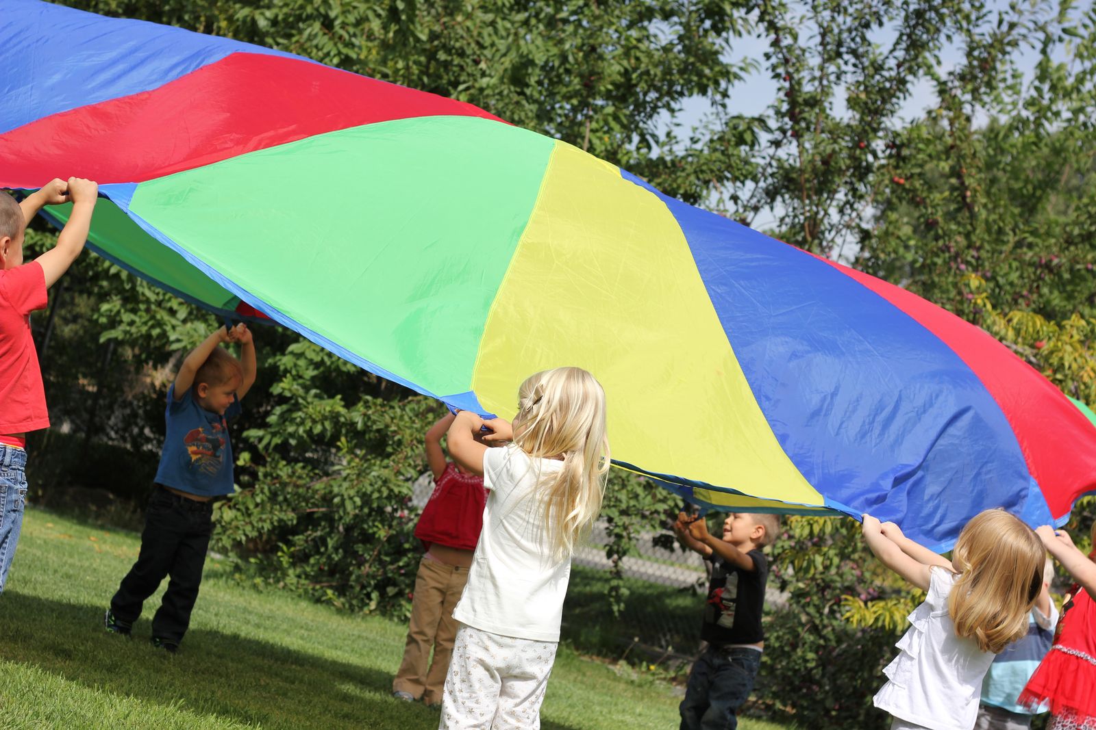 Summer Day Camps Where Adventure Awaits!